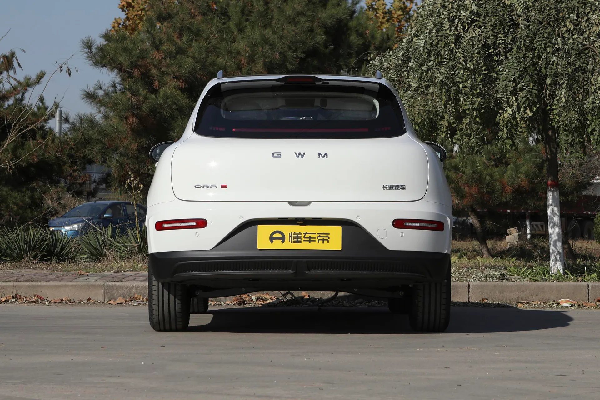  5 EV 480km Pro