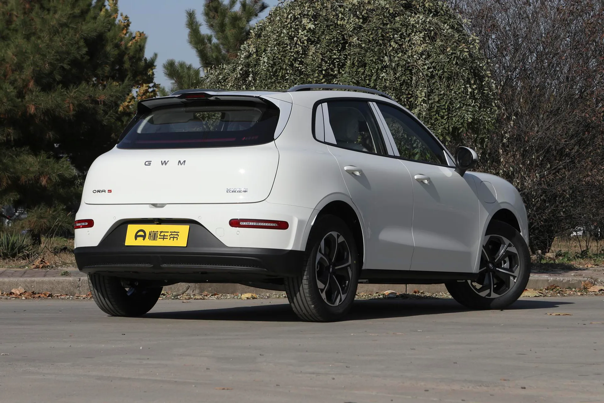  5 EV 480km Pro