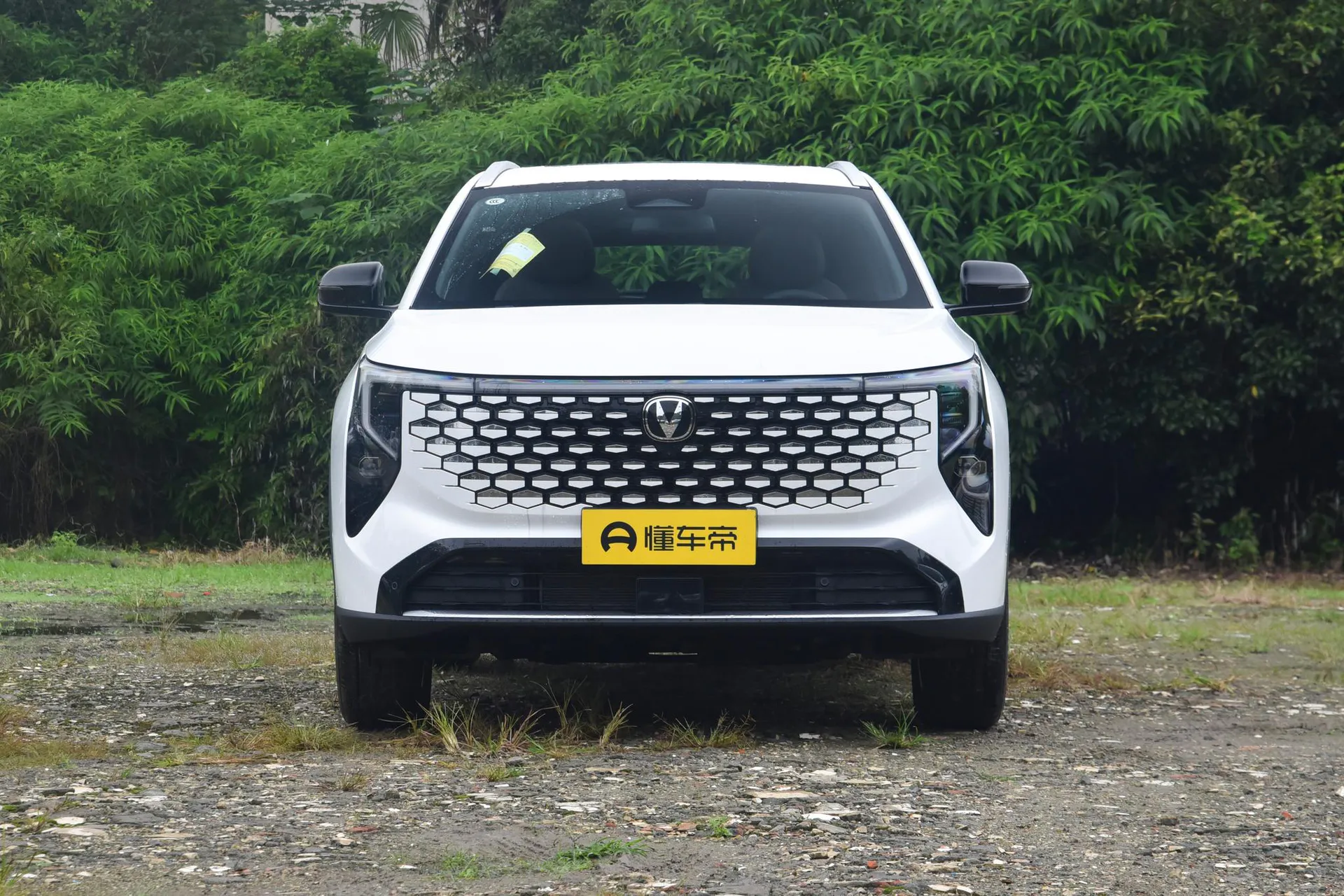  CS55 PLUS Fourth Generation New Blue Whale 1.5T Tian Shu Luxury