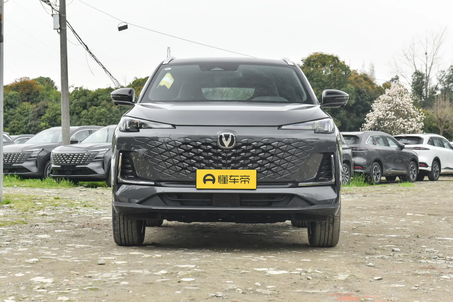  CS55 PLUS Third Generation 1.5T 500 Bar Premium