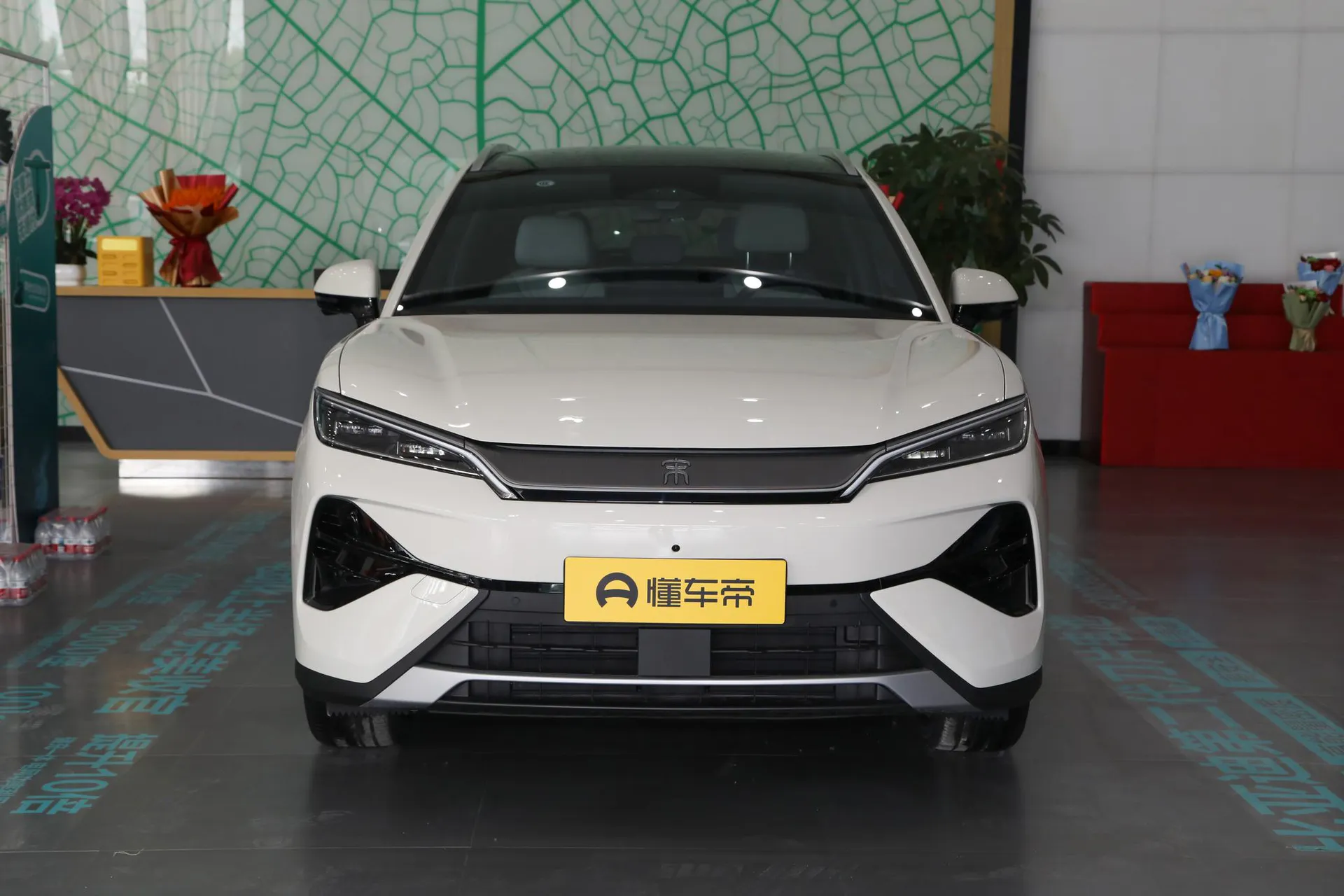  Song Ultra EV 605 KM Surpass