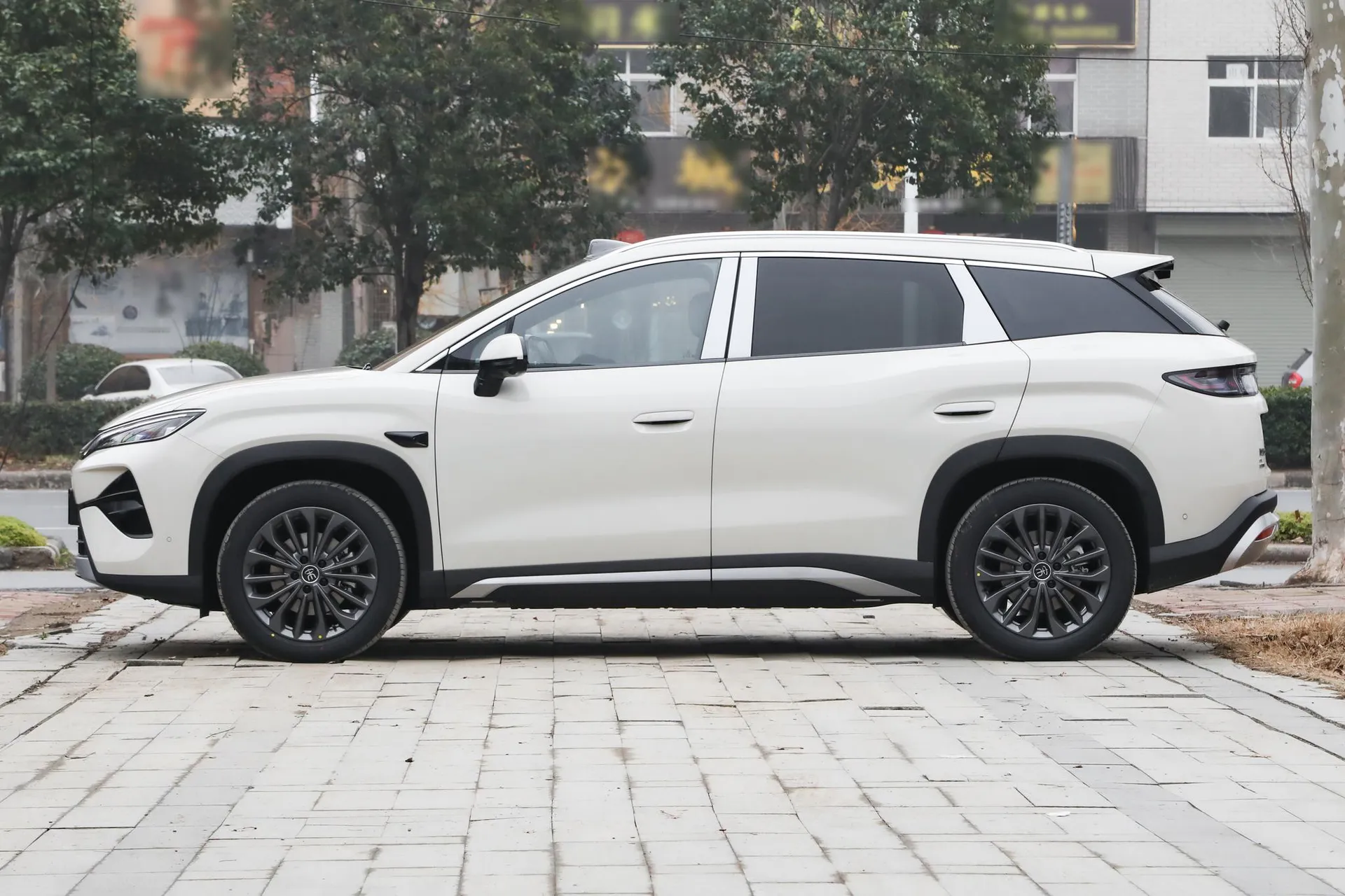  Song Ultra EV 710 KM Surpass