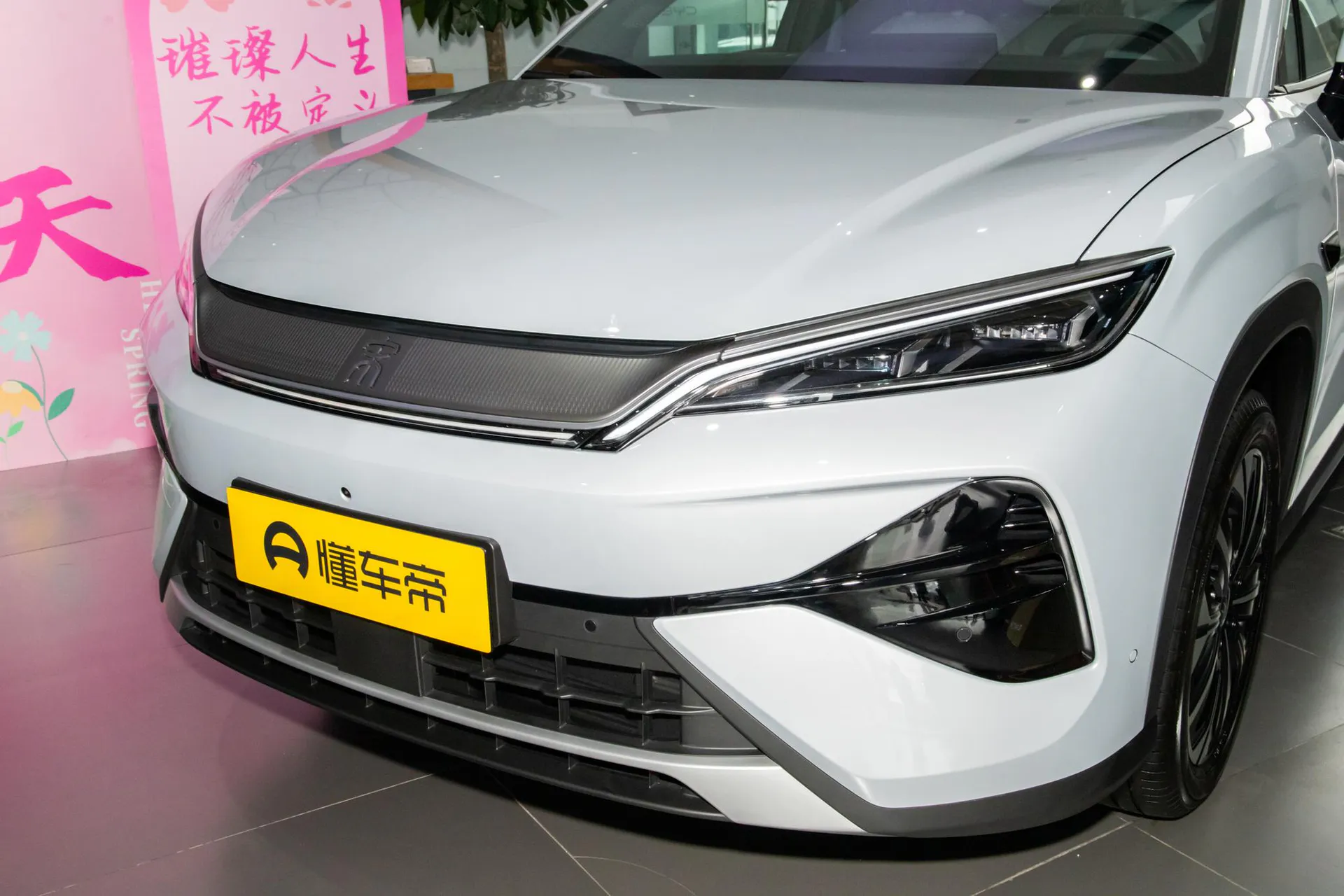  Song Ultra EV 710 KM Excellence