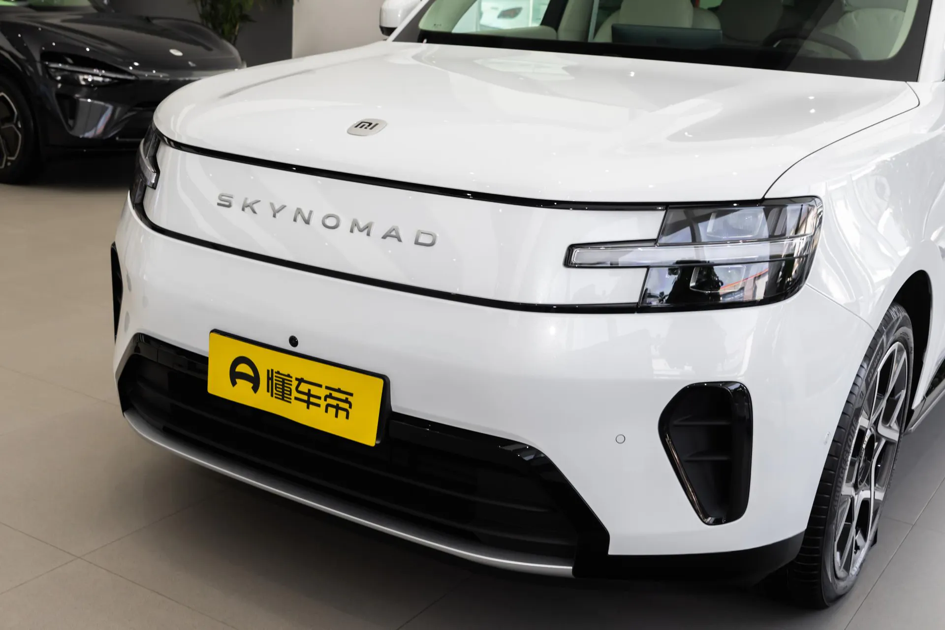  SKYNOMAD N90 Max