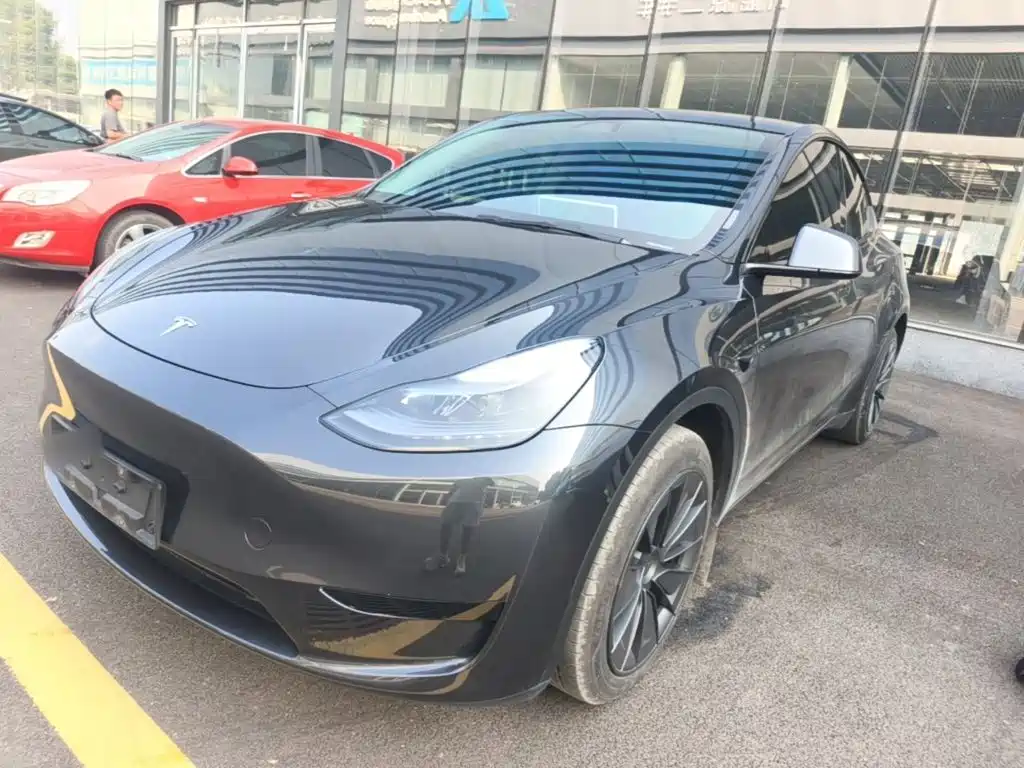Tesla Model Y Rear-wheel drive